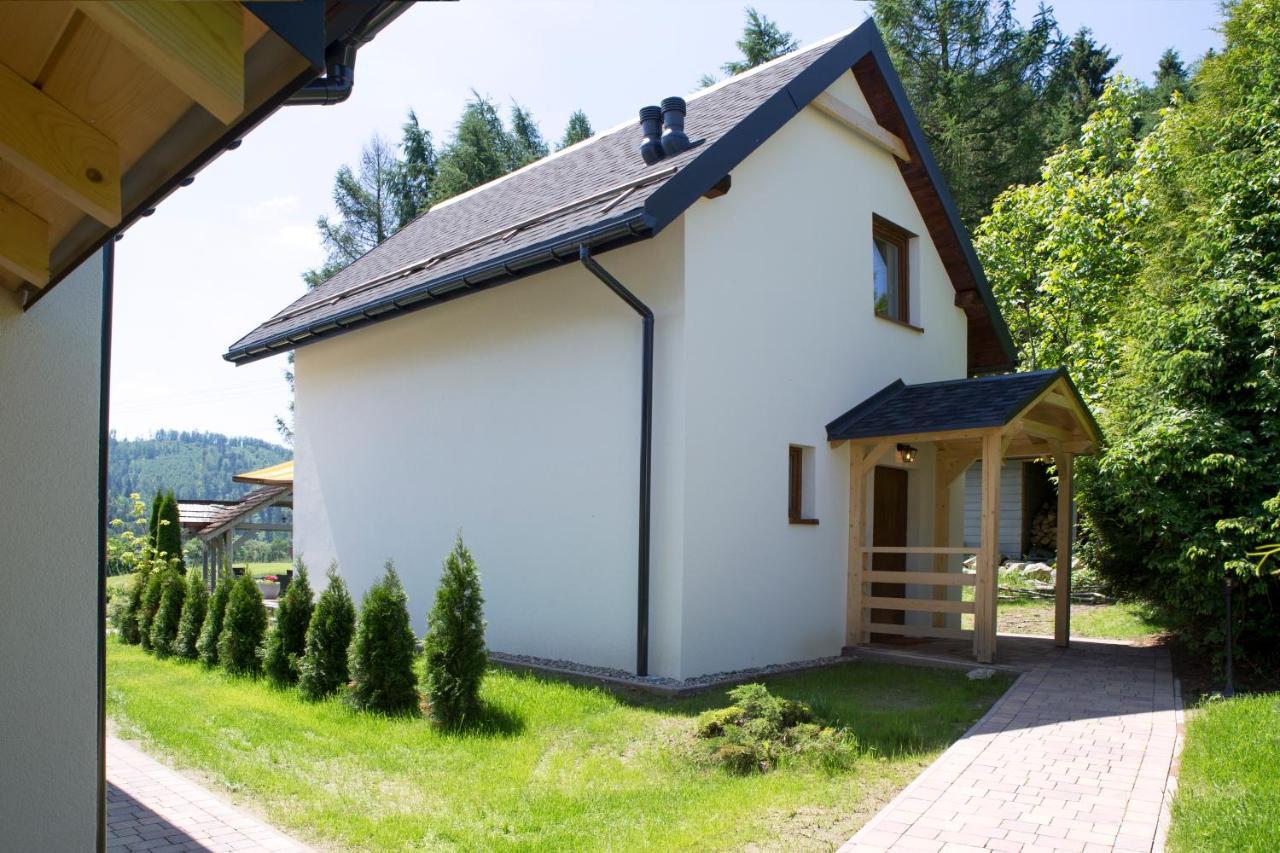 Beskid Ski Villa 비스와 외부 사진