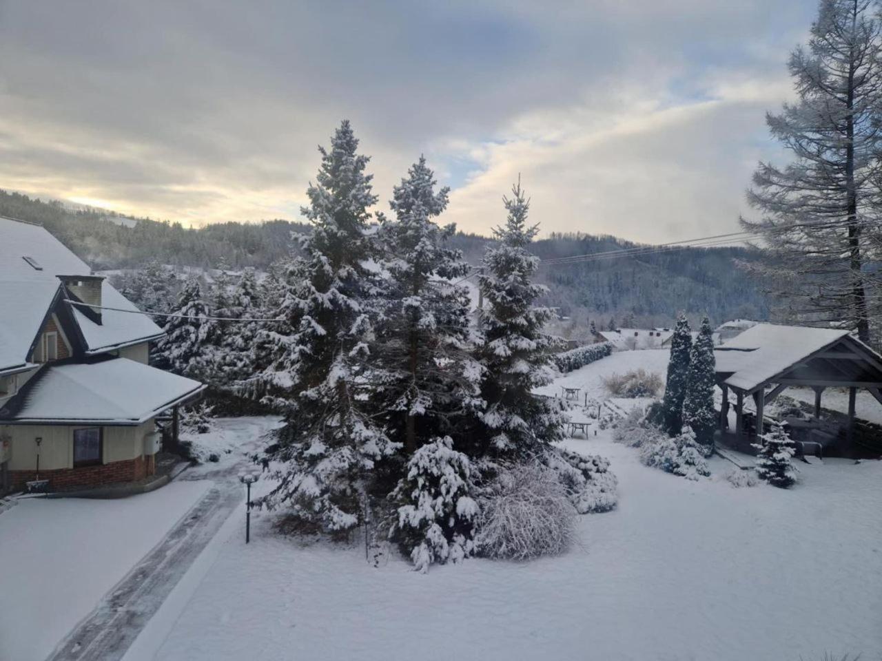 Beskid Ski Villa 비스와 외부 사진